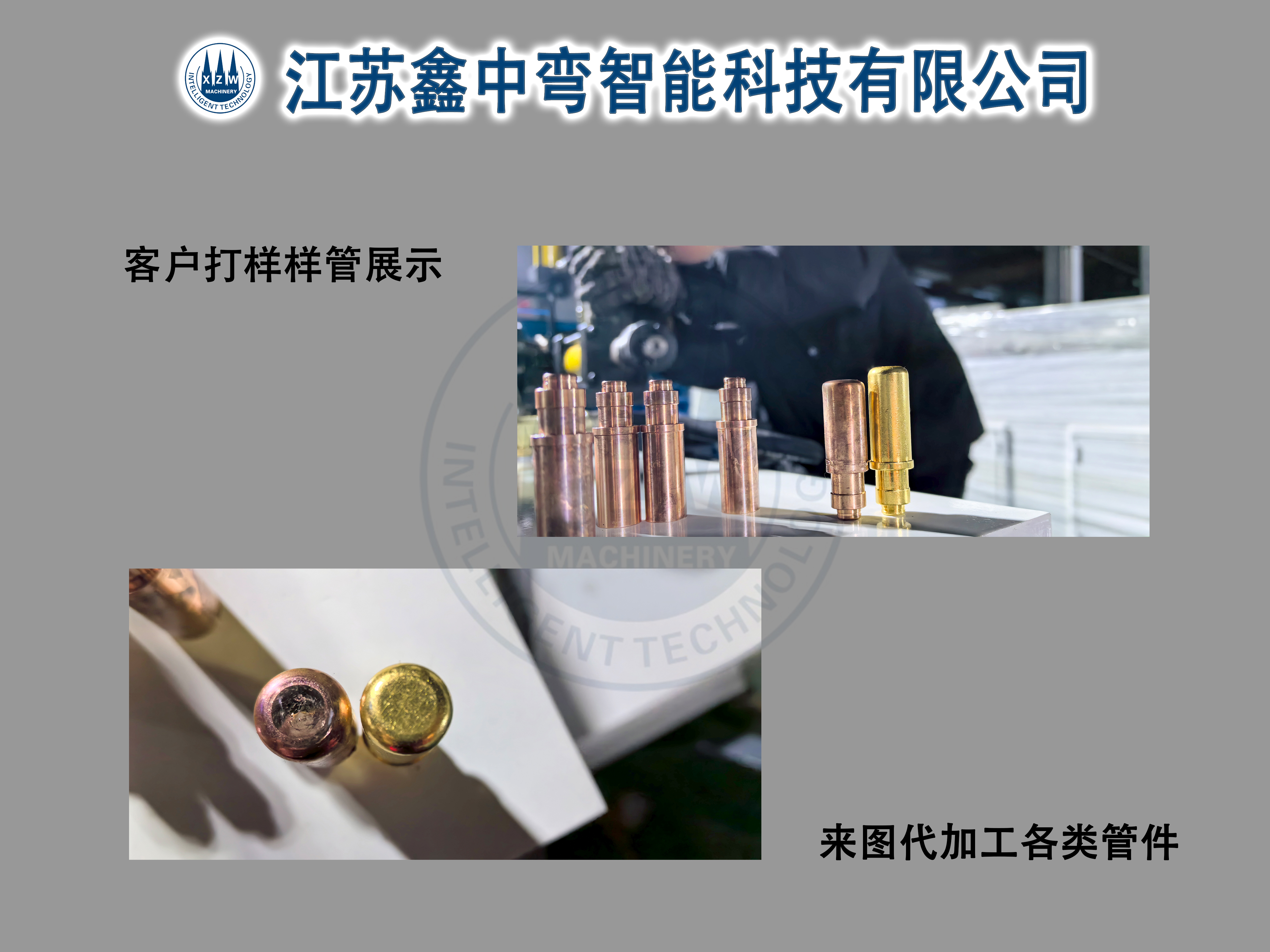 微信图片_20240305095003.jpg